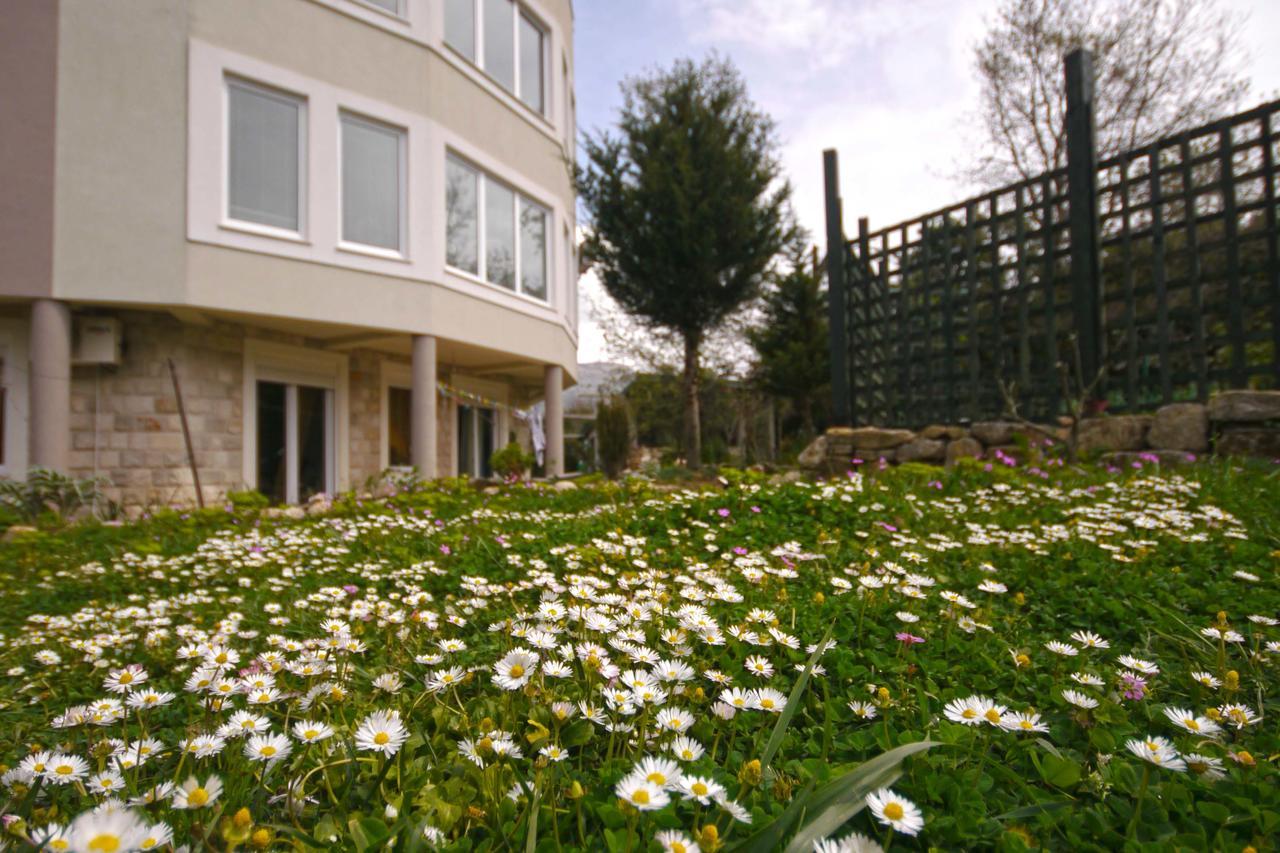 Mirta Apartments Family Farm Budva Ngoại thất bức ảnh